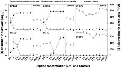 A Bifunctional Synthetic Peptide With Antimicrobial and Plant Elicitation Properties That Protect Tomato Plants From Bacterial and Fungal Infections